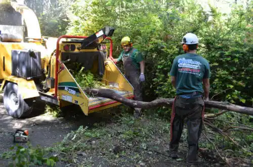 tree services Redding